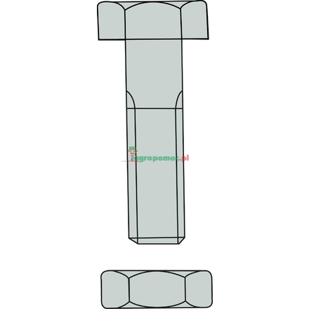  Bolt with nut