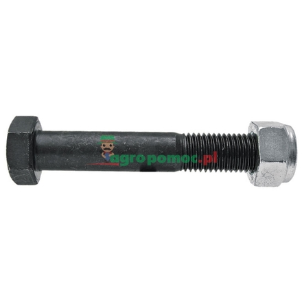  Bolt with nut | 3002392, 1012420