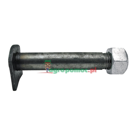  Bolt with nut | 22495014, 9098601
