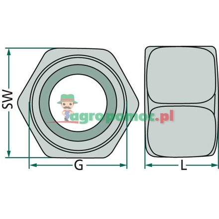  Cap nut | 893 070 834 4