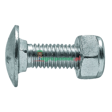  carriage bolt | 70-1001