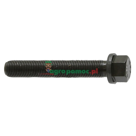  Connecting rod bolt | F119200310060
