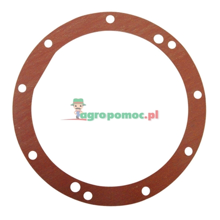  Cover gasket | 296202A1, 130300010703