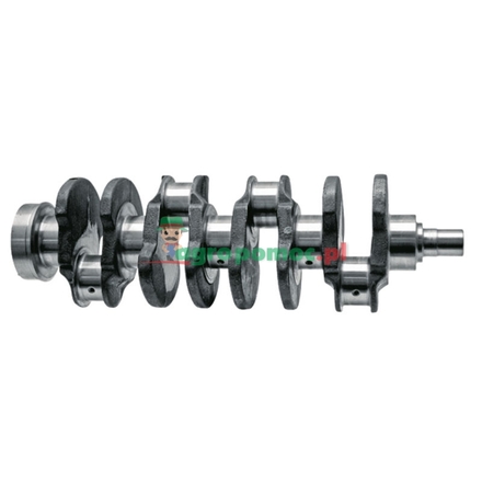  Crankshaft 6-cylinder | F926200310090