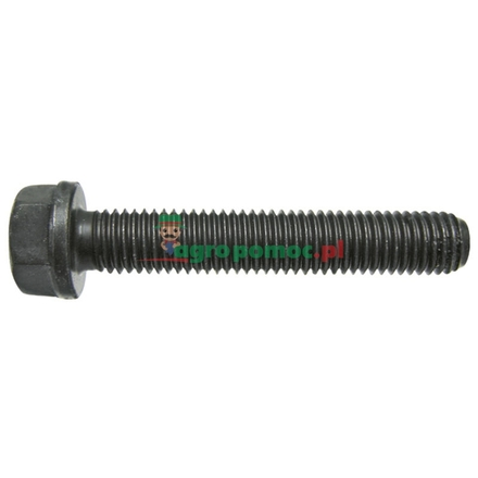  Cylinder head bolt | J920779
