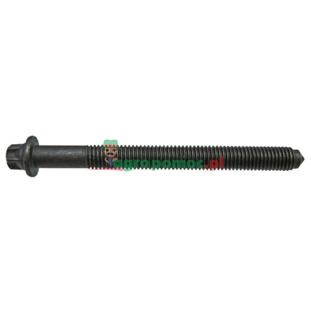  Cylinder head bolt | 04197841, 04800448