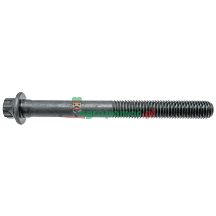  Cylinder head bolt | F926202210400
