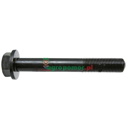  Cylinder head bolt | 745662M1, 32166219