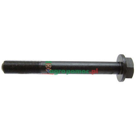  Cylinder head bolt | 745663M1, 32166221