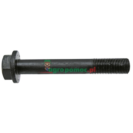 Cylinder head bolt | 739504M1, 32181424
