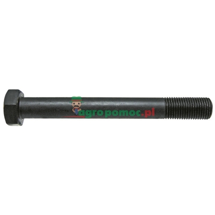  Cylinder head bolt | 739505M1, 32181425