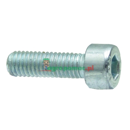  cylindrical screws
