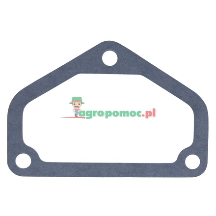  Flat seal | 1860960M2