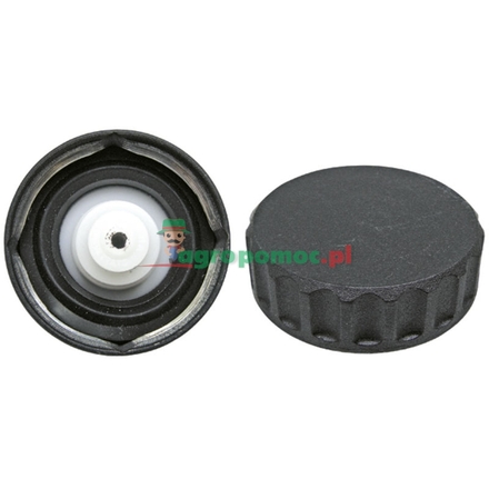  Fuel tank cap | 3300019M91