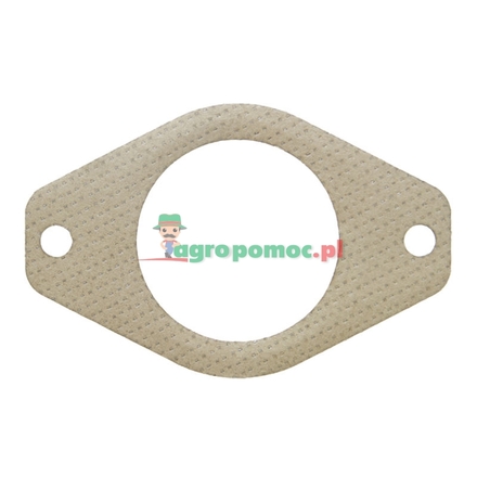  Gasket | R519398