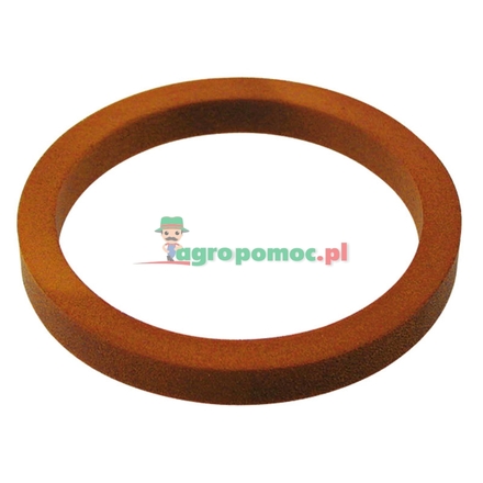  Guard ring | 04383808