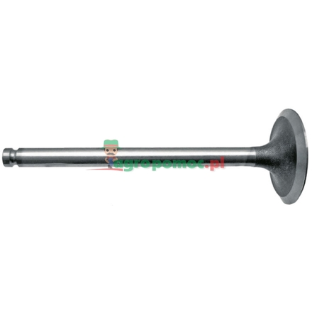  Inlet valve | 745534M1
