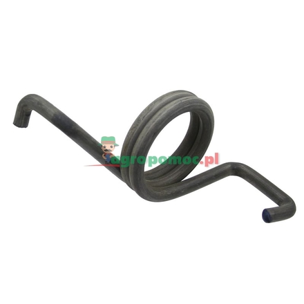  Kingpin spring | 112100070160
