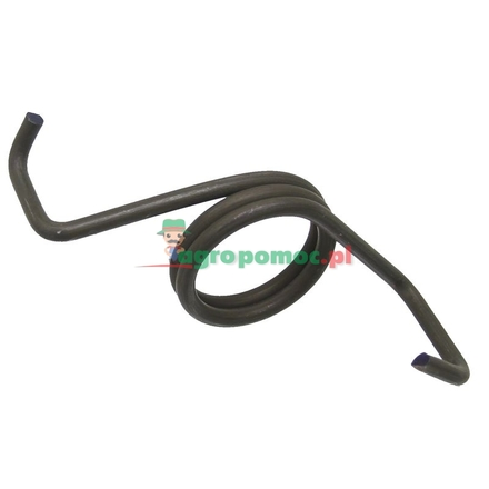  Kingpin spring | 120100070040