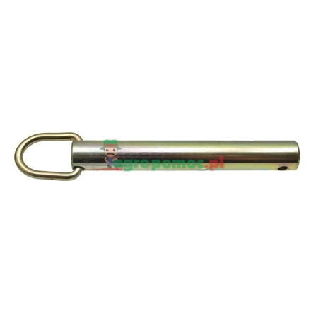  Locking pin | 3217721R1