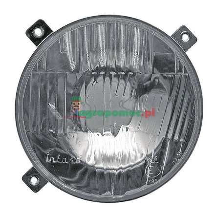  Main headlight insert | 1672768M91, 3600101M91