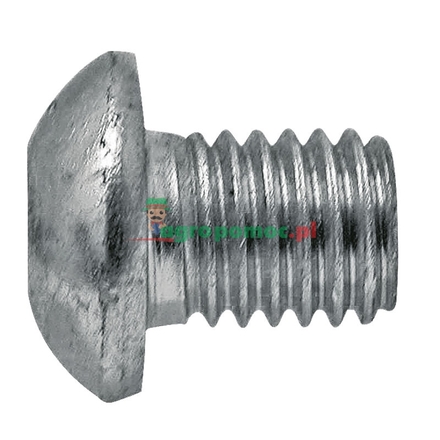  Mushroom head bolt | 84816