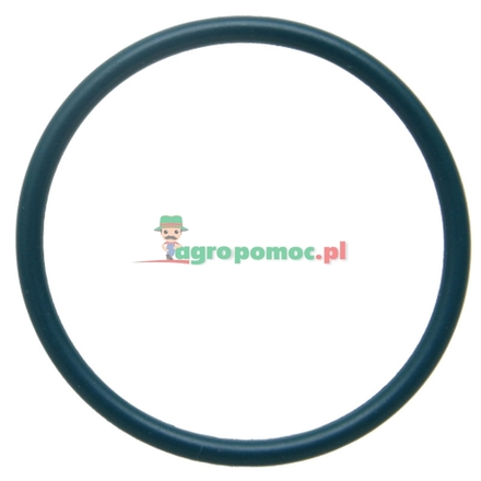 O-ring | R519989