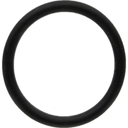  O-ring