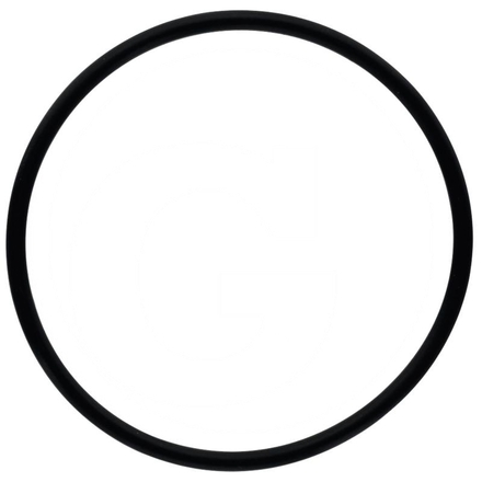  O-ring | 70923583, 1009659M1