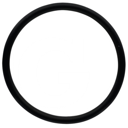  O-ring | 70923936, 195522M1