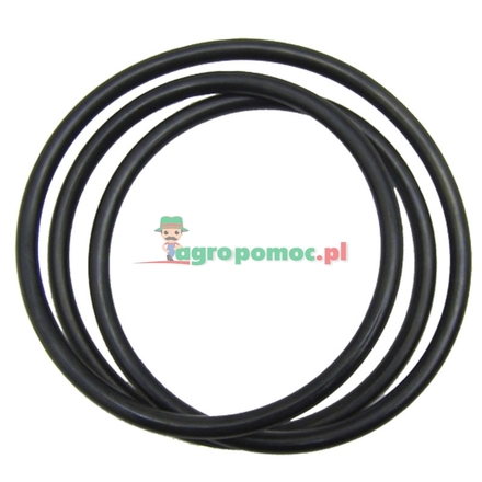  O-Ring | 3716335M1