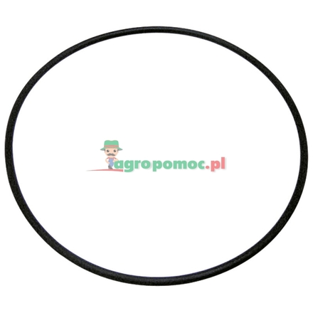 O-ring | 3057615R1