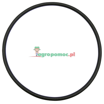  O-ring | X548977501000
