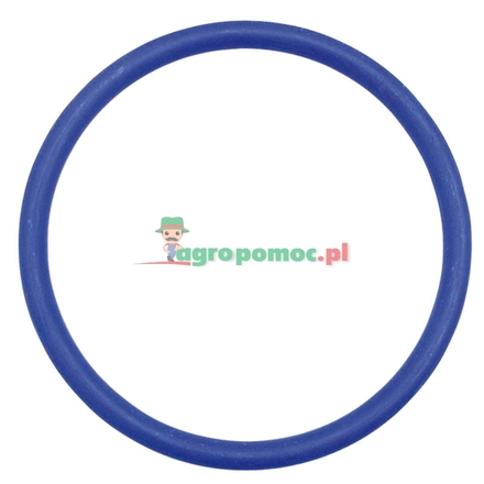  O-ring | X548958479000