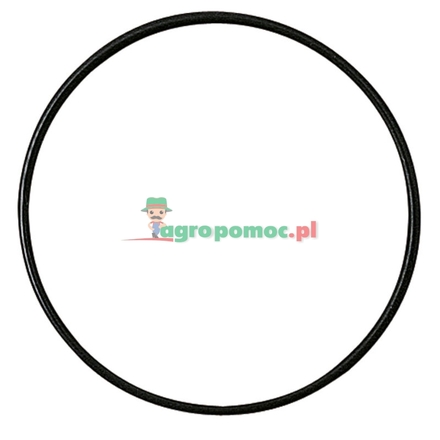  O-ring | R460R