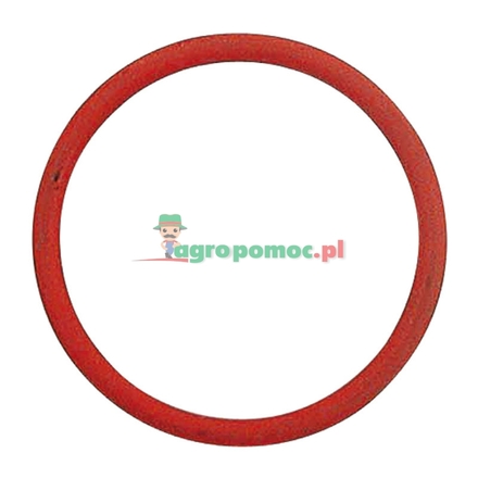  O-ring | T19687