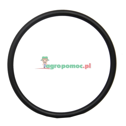  O-ring | 1006234M1