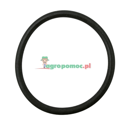  O-ring | 81419C1