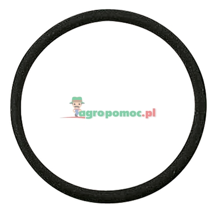  O-Ring | F138314020470