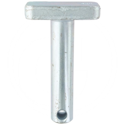  Pin for lifting strut