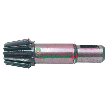  Pinion shaft | 153003.7