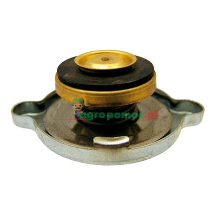  Radiator filler cap | A170241
