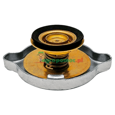  Radiator filler cap | F138208052010