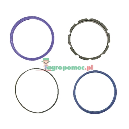  Seal kit | 51755