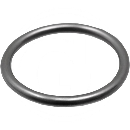  Sealing ring