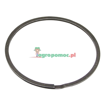  Sealing ring | F199200100030