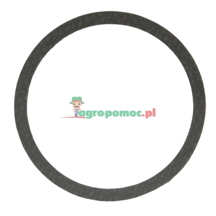  Sealing ring | 385202170030
