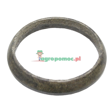  Sealing ring | 515200100140