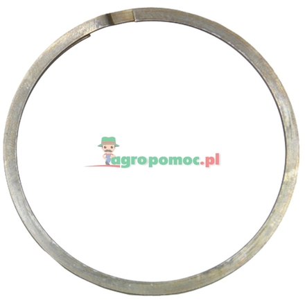 Sealing ring | F395200100030