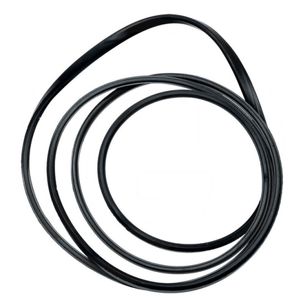  Sealing ring | 4301332M1
